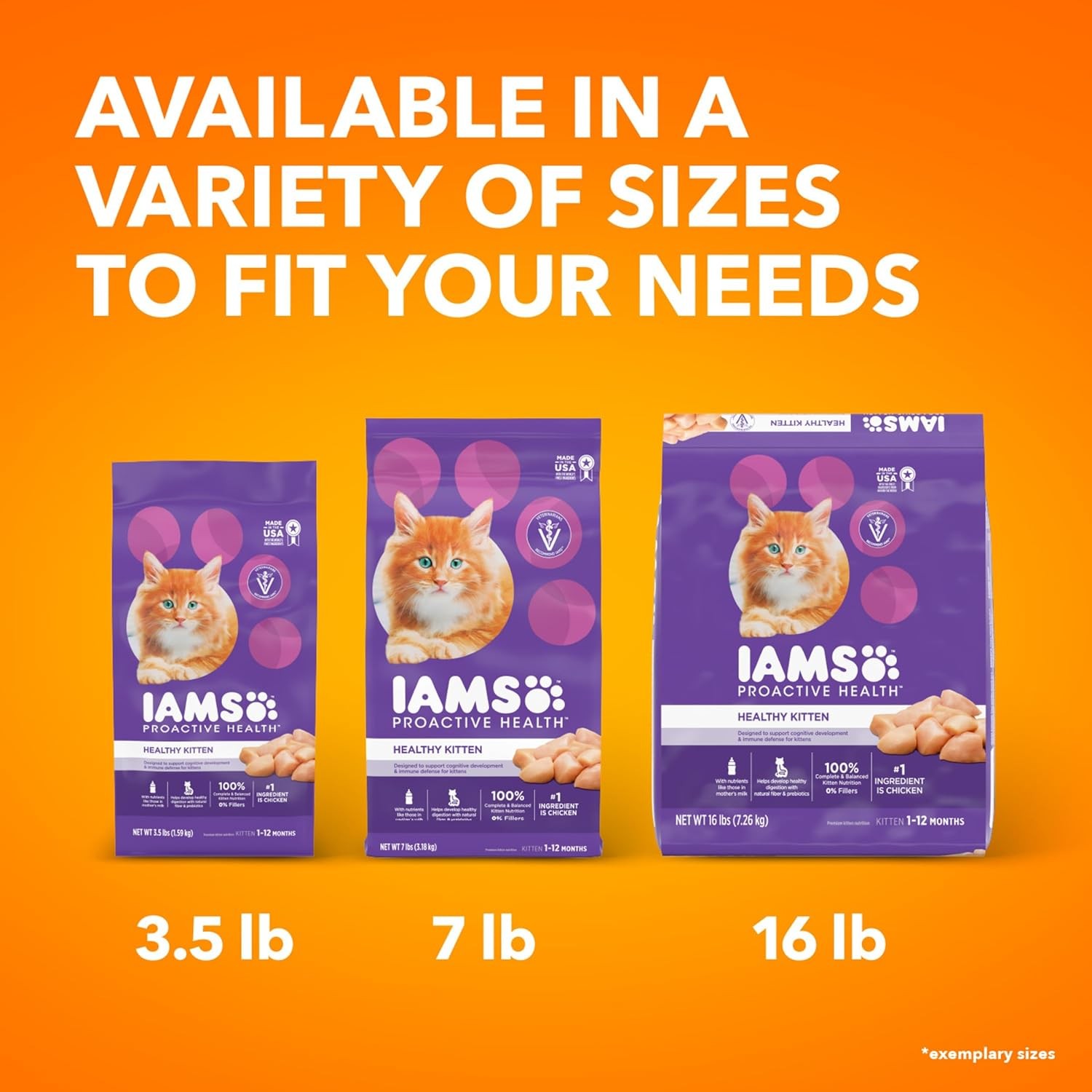 IAMS Proactive Health Healthy Kitten Dry Cat 7 Pound (Pack of 1), Chicken