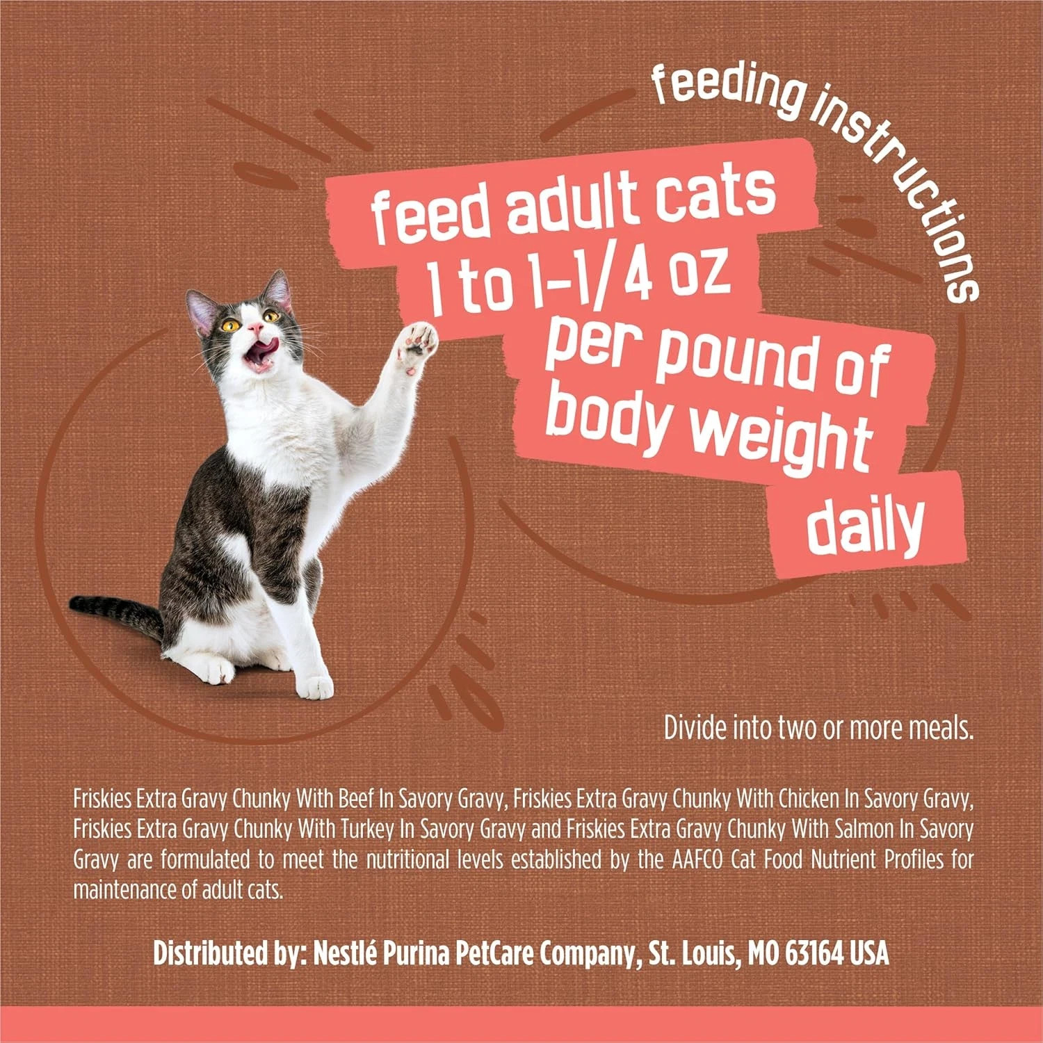 Purina Friskies Extra Gravy Wet Cat Food Chunky 24Ct Variety Pack (With Chicken,
