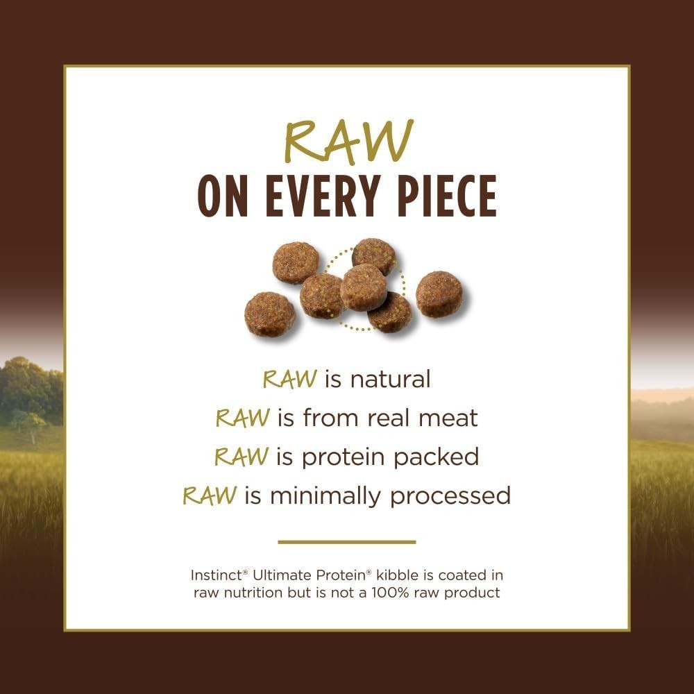Ultimate Protein Grain Free Cage Free Chicken Recipe Natural Dry Cat Food 10 lb.