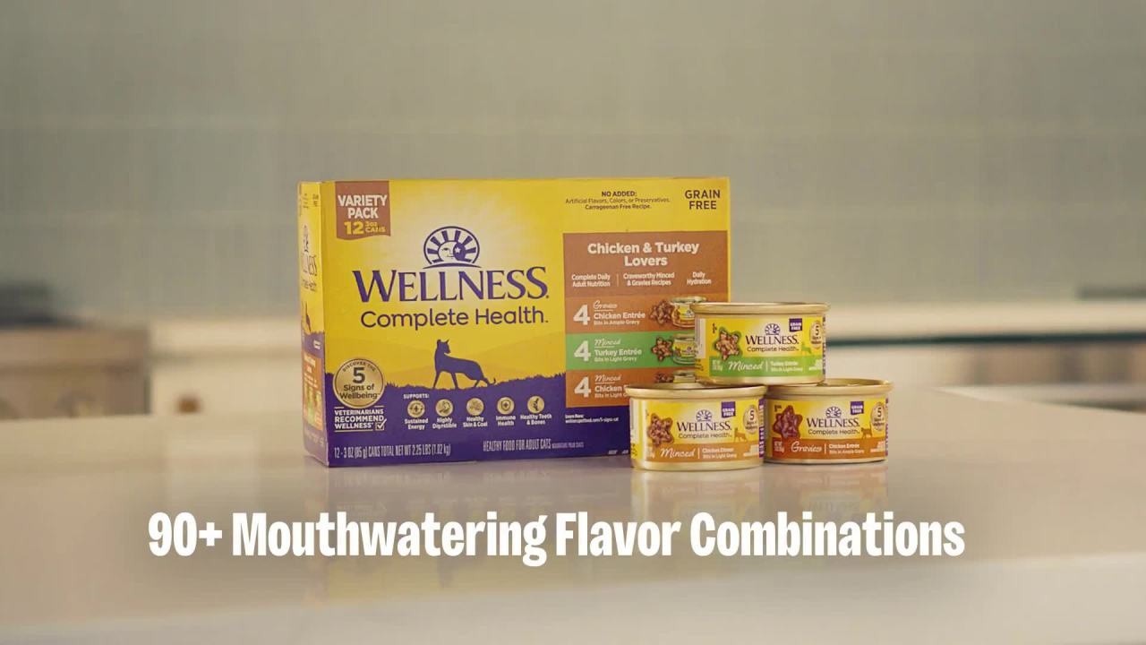 Wellness Complete Health Pate Kitten Wet Cat Food, Natural, Protein-Rich,24 Pack