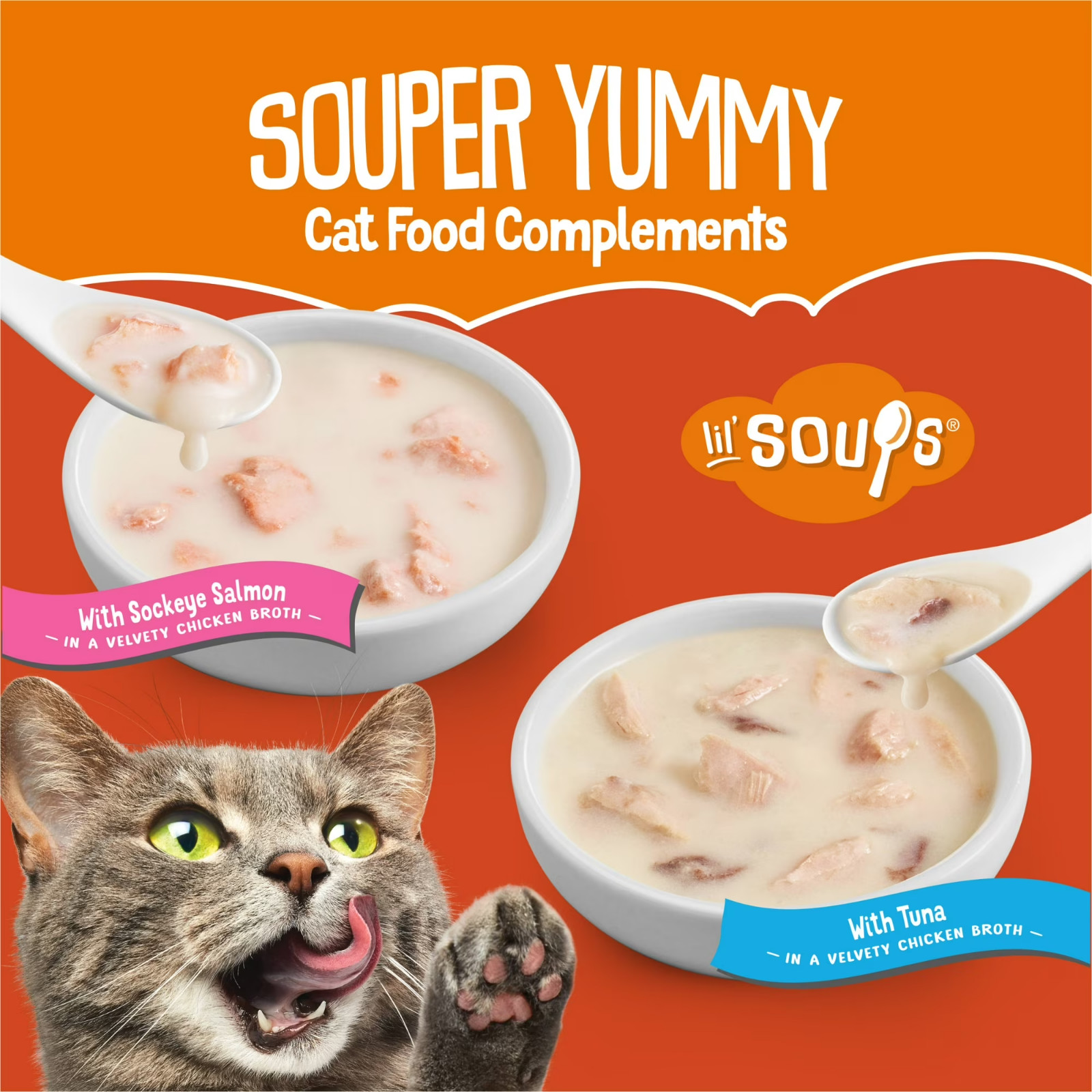 2 pack Purina Friskies Lil’ Soups Salmon and Tuna for Cats Variety Pack, 1.2 oz