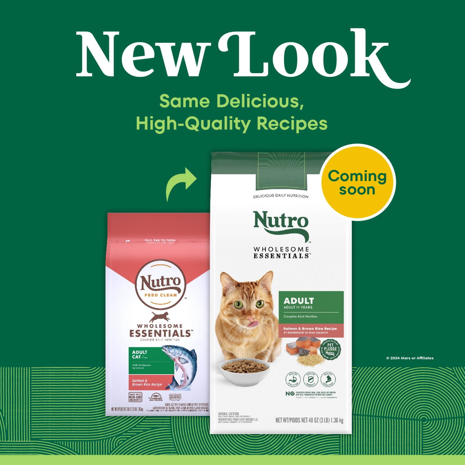 Nutro Wholesome Essentials Dry Cat Food, 3 Pound (Pack of 1), Salmon Flavored
