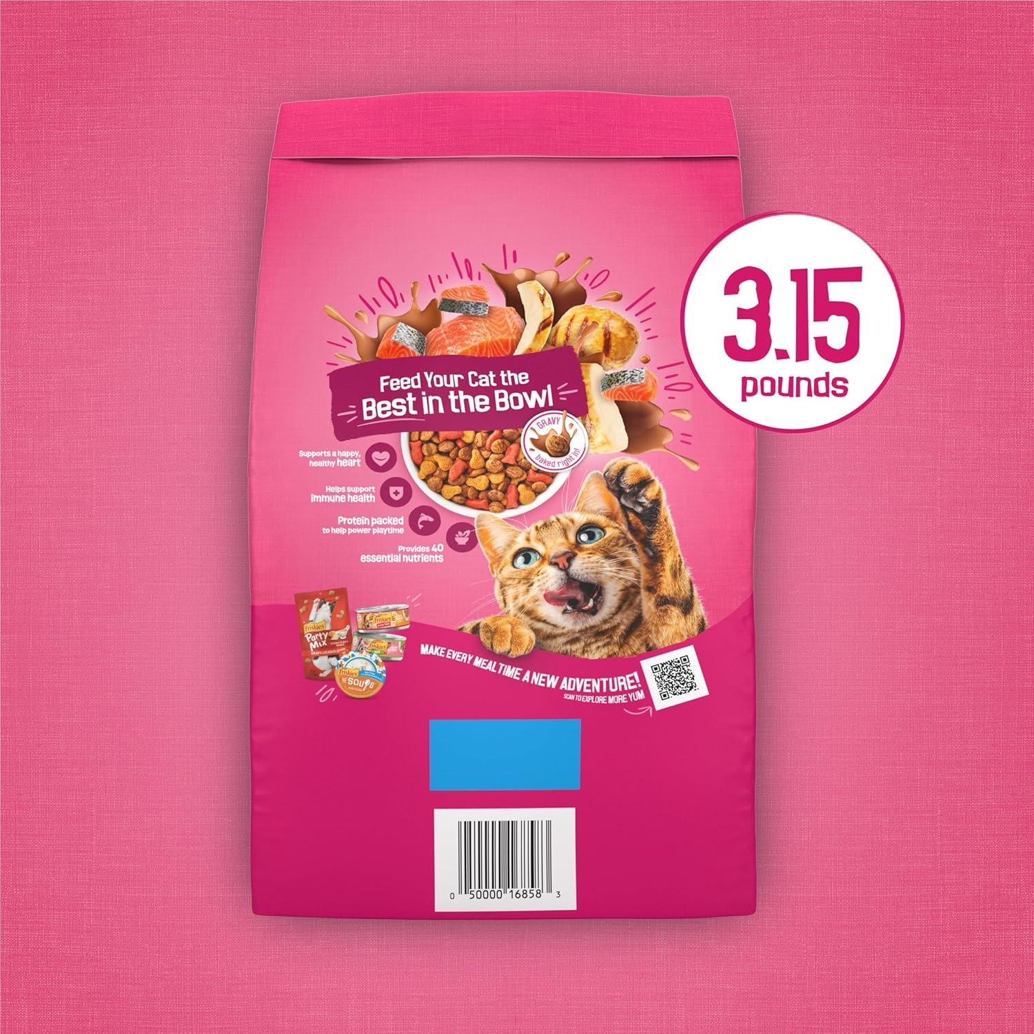 Purina Friskies Gravy Swirlers with Flavors of Chicken, Salmon and Gravy Dry Cat