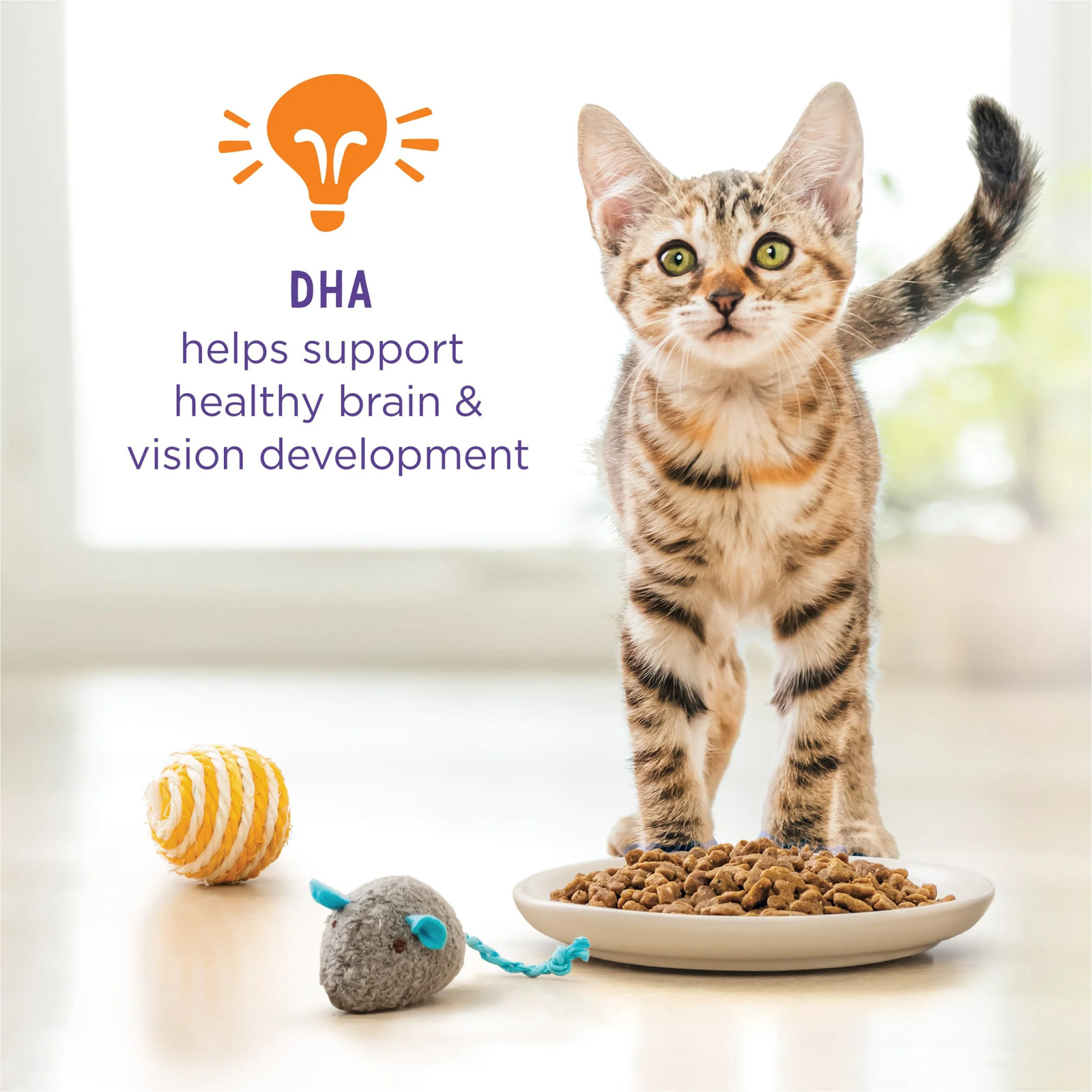 Purina Kitten Chow Healthy Development, Indoor Dry Kitten Food, Chicken, 14 Lb B