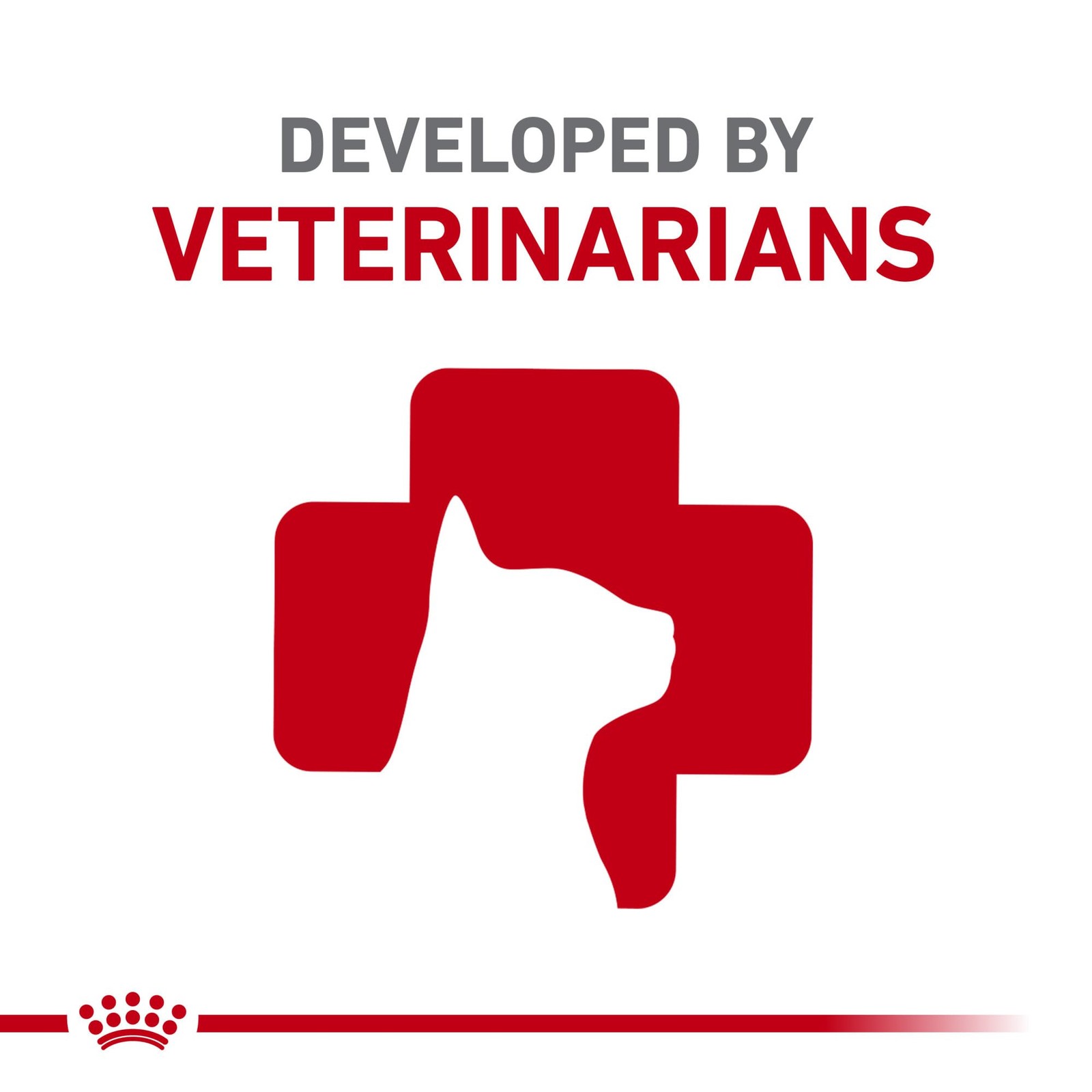 Royal Canin Feline Health Nutrition Adult Instinctive 3 Ounce (Pack of 12)