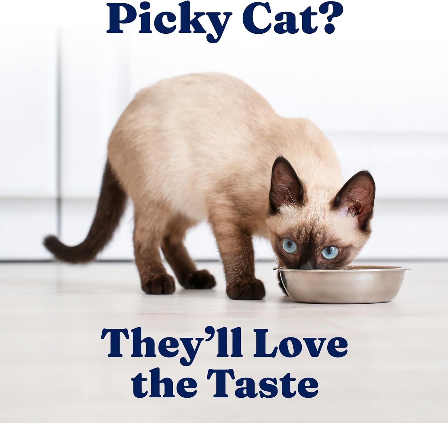 16 Pack Solid Gold Five Oceans Blended Tuna Wet Cat Food in Gravy