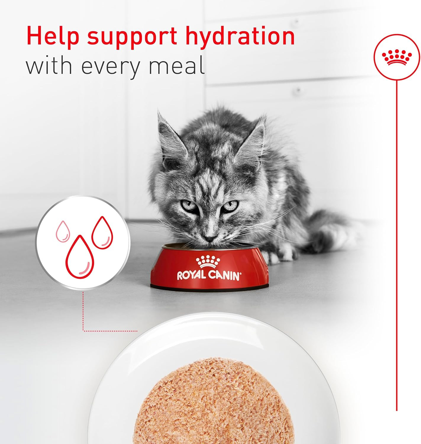 Feline Health Nutrition Aging 11+ Wet Cat Food, for Cats over 11 Years, Supports