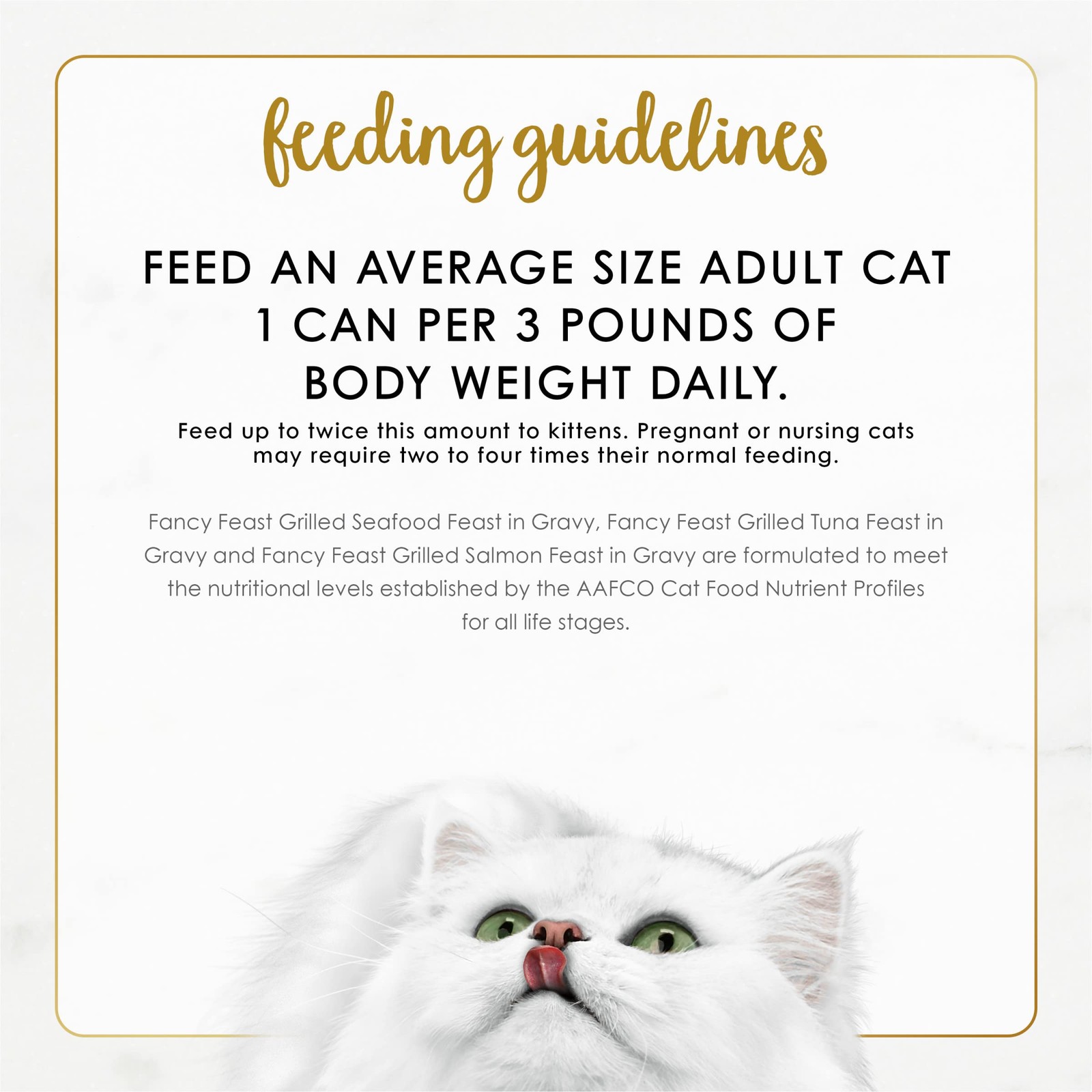 Purina Fancy Feast Grilled Wet Cat Food Seafood Collection in Wet Cat Food
