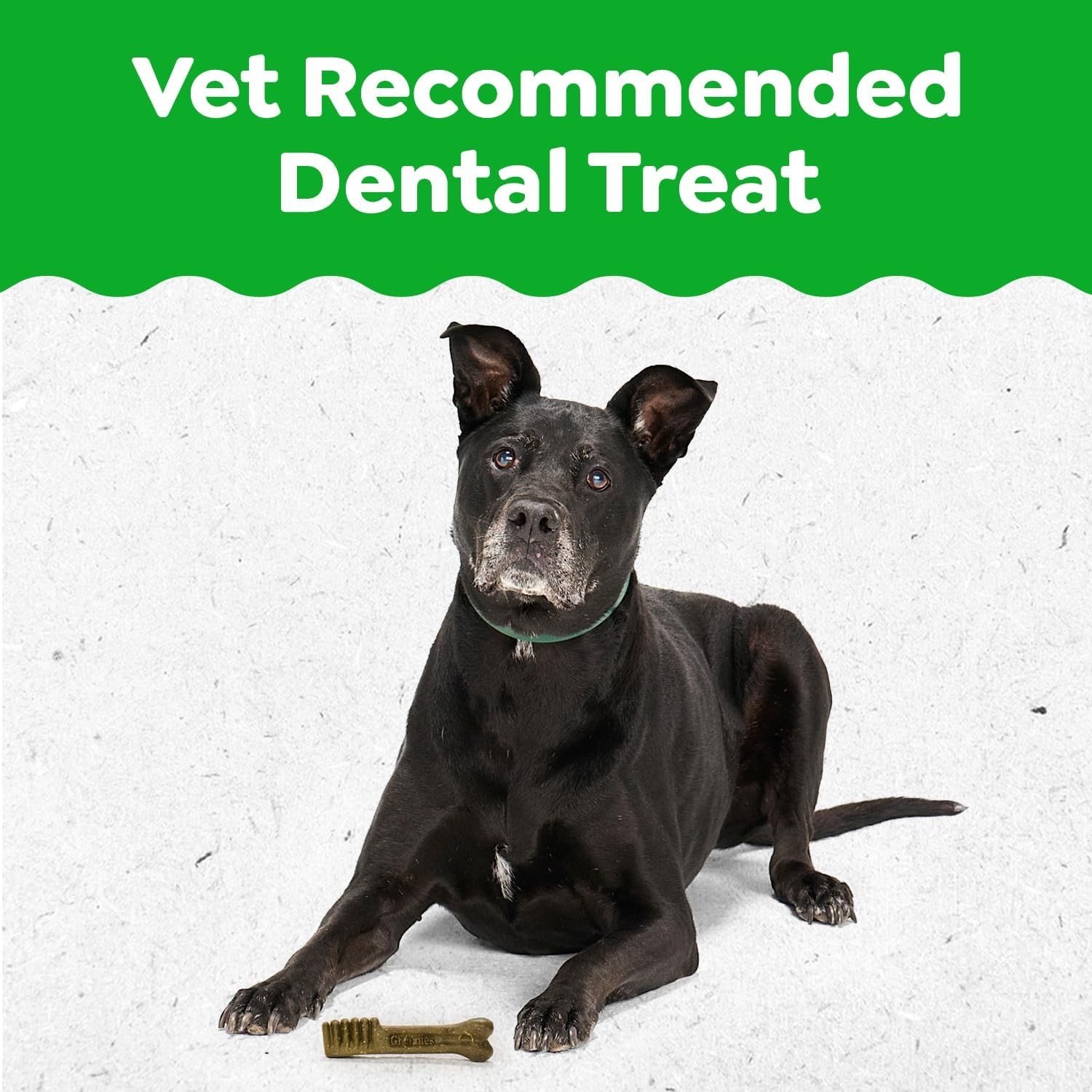 Greenies Dental Treats for Dogs, Veterinarian-Recommended Aging Care Adult Natur