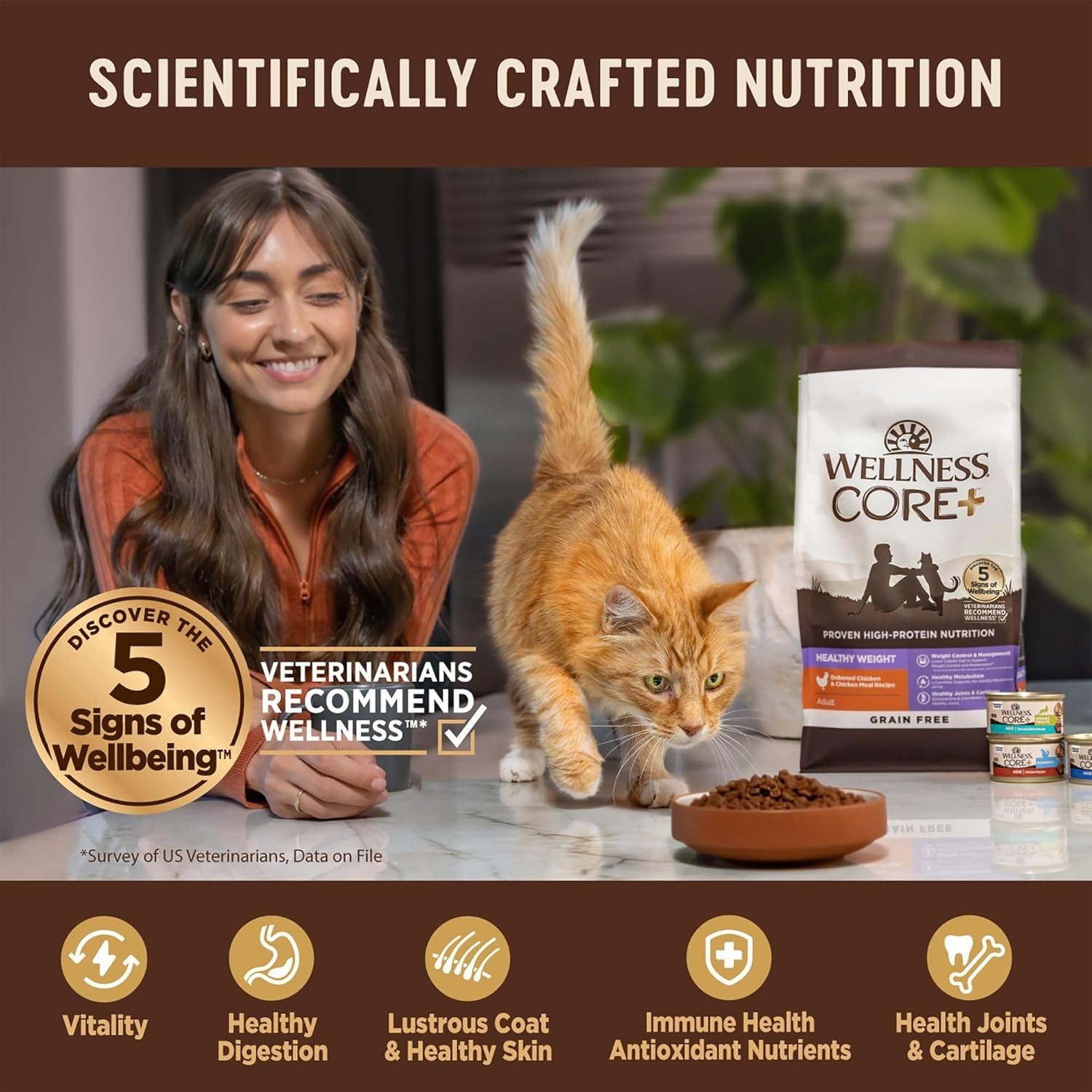 Wellness CORE Grain Free Indoor Cat Food Turkey Chicken Formula, 11 lb Bag