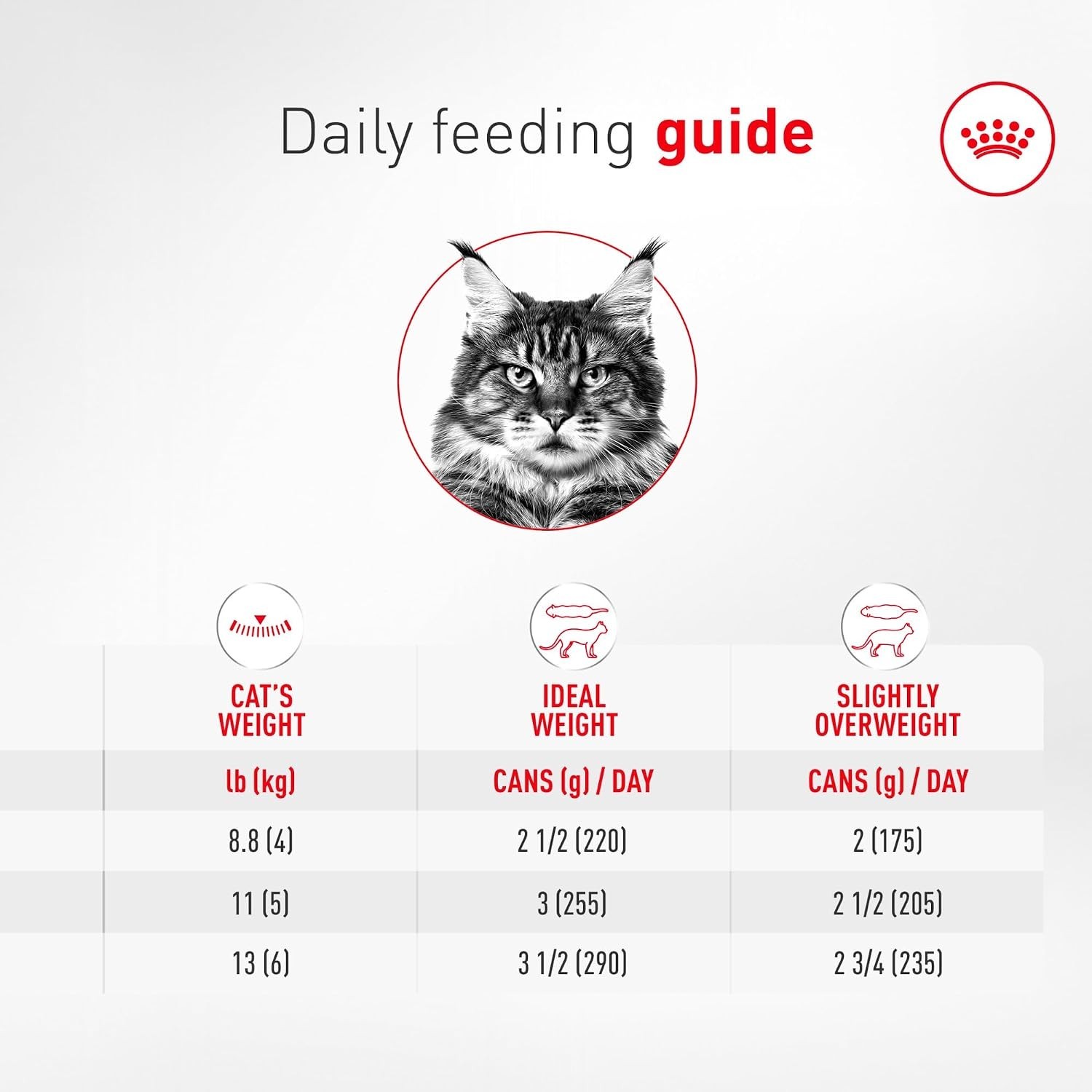 Royal Canin Feline Senior 11+ Wet Cat Food – Slices in Gravy, 3 Oz x 24 Cans