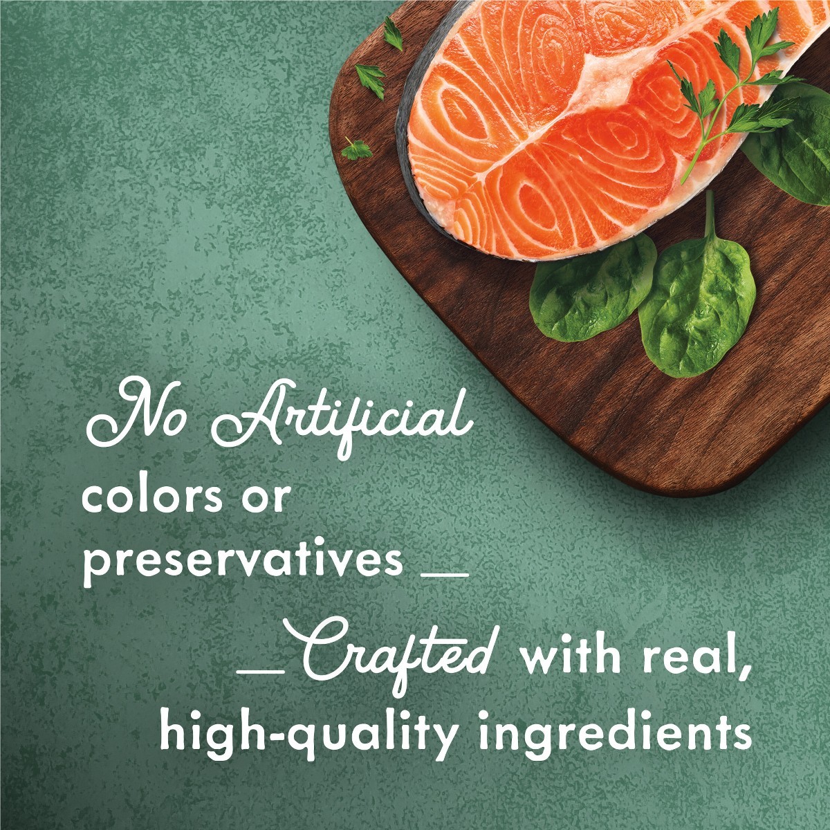 3oz Gourmet Wild Salmon Florentine Wet CatFood With Garden Greens Delicate Sauce