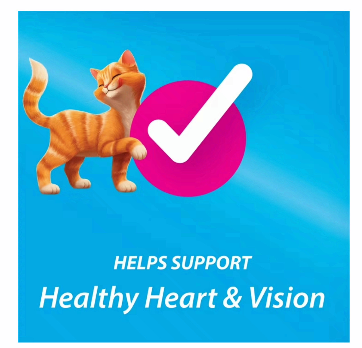 Purina Kit & Kaboodle Dry Cat Food 30 lb Bag Chicken Liver Turkey 2 Pack Bulk