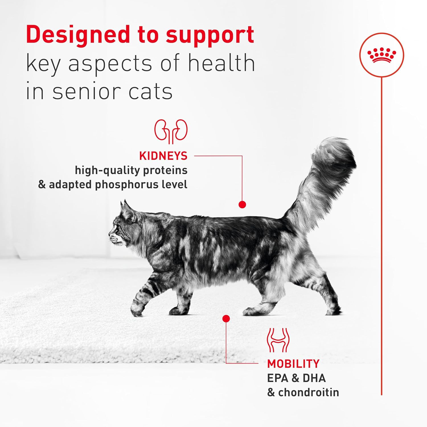 Feline Health Nutrition Aging 11+ Wet Cat Food, for Cats over 11 Years, Supports