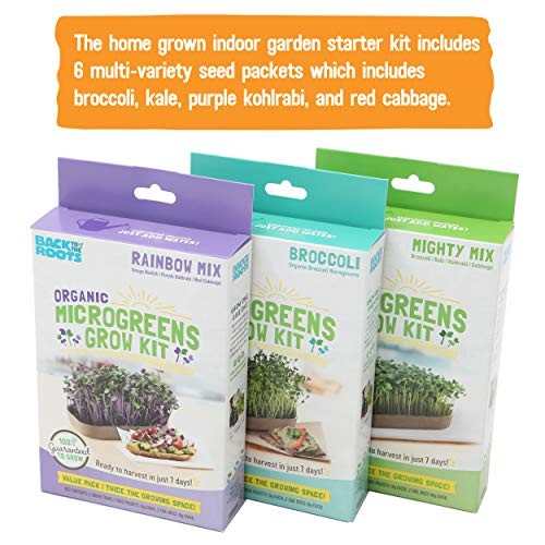 50041 DIY 6-Grow Variety Pack Organic Microgreens Kit, Indoor Gardening