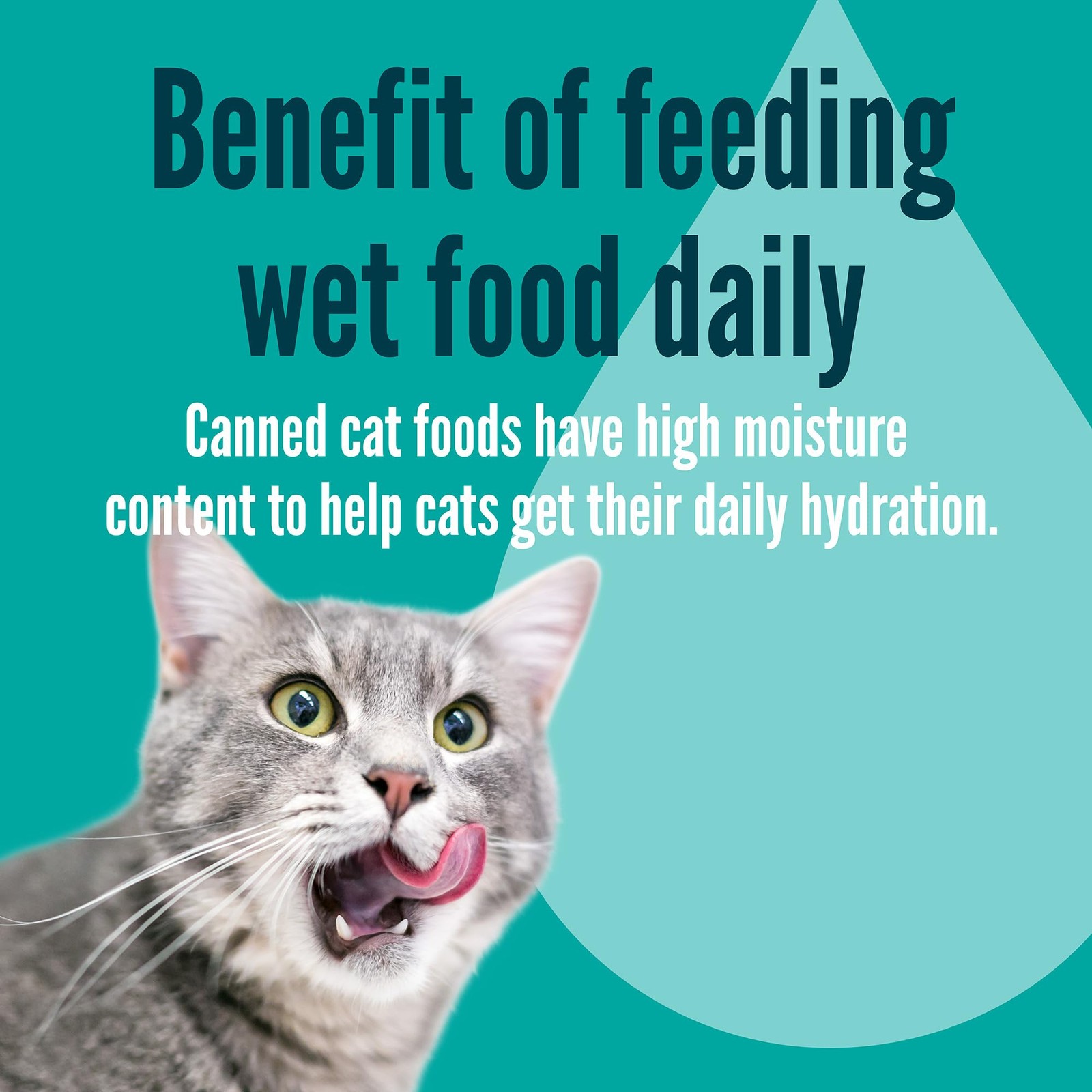 A Strong Heart Canned Wet Cat Food, Chicken Shreds with Organ Meat in Sauce 3…