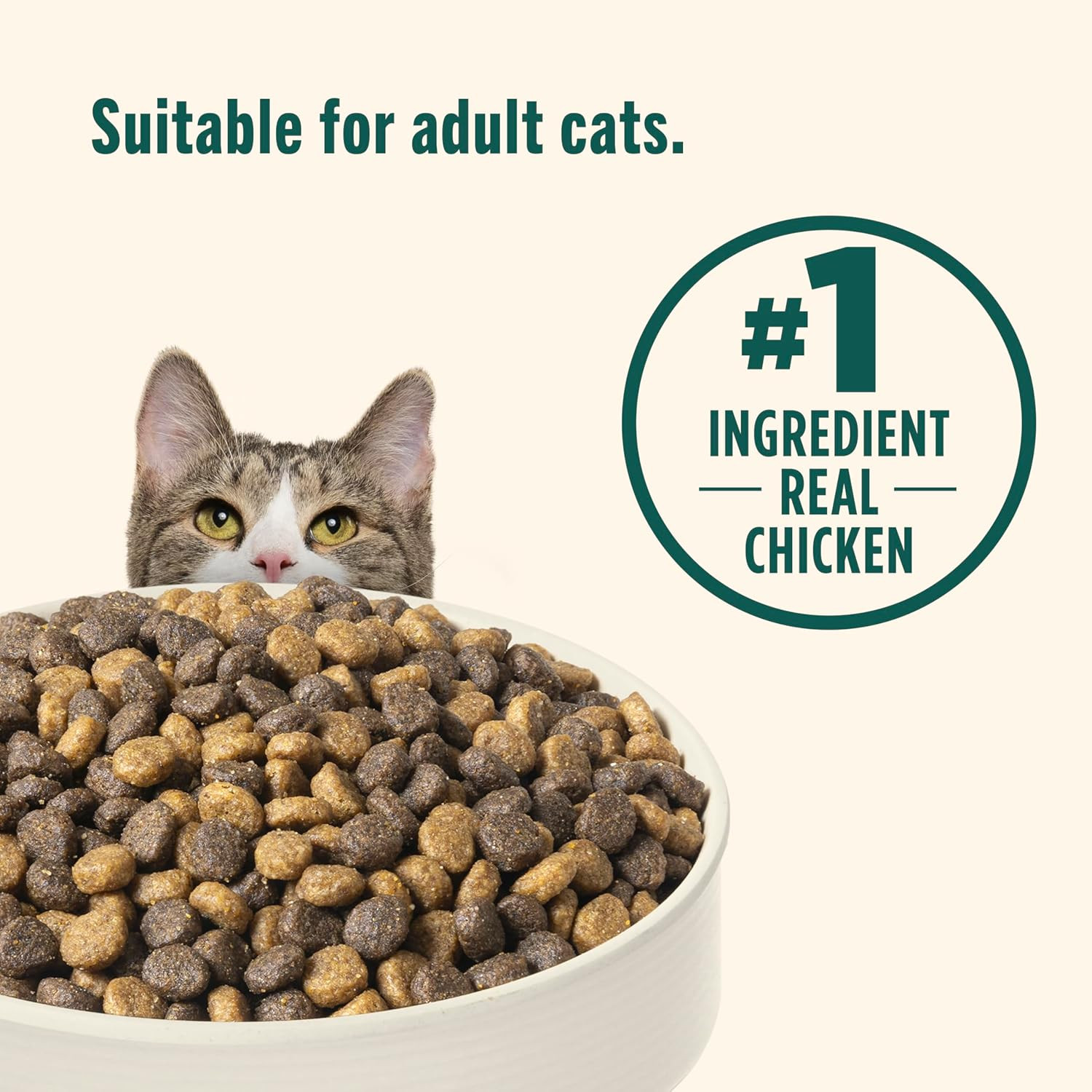 Indoor Complete Chicken, Lentils & Salmon Recipe Dry Cat Food, 6 Lb. Bag, Packag