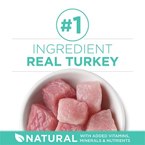 Turkey 16 Pound Natural Dry Cat Stomach & Skin – Natural Turkey – Pack of 1
