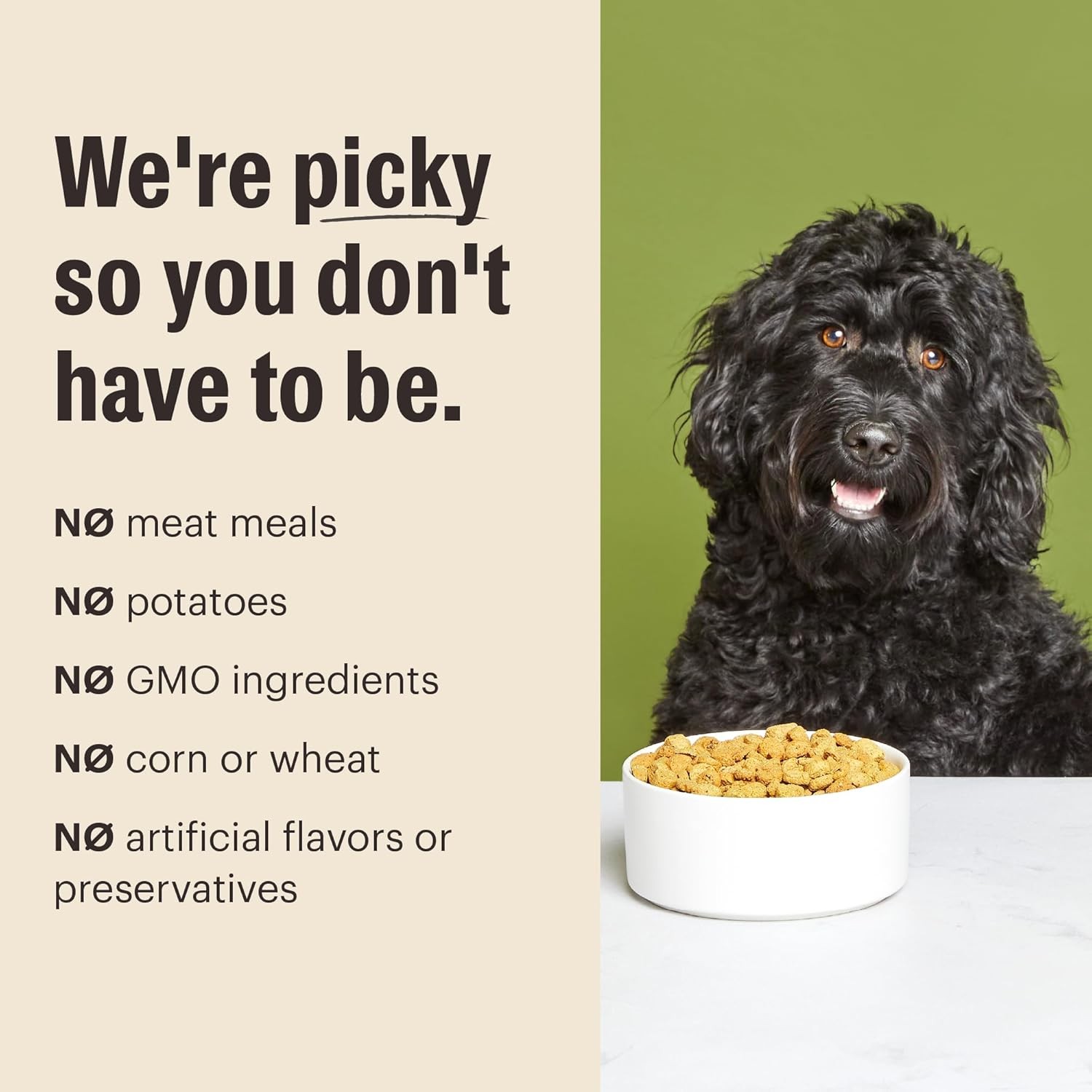The Honest Kitchen Human Grade Essential Clusters Dry Dog Food, Whole Grain Chic