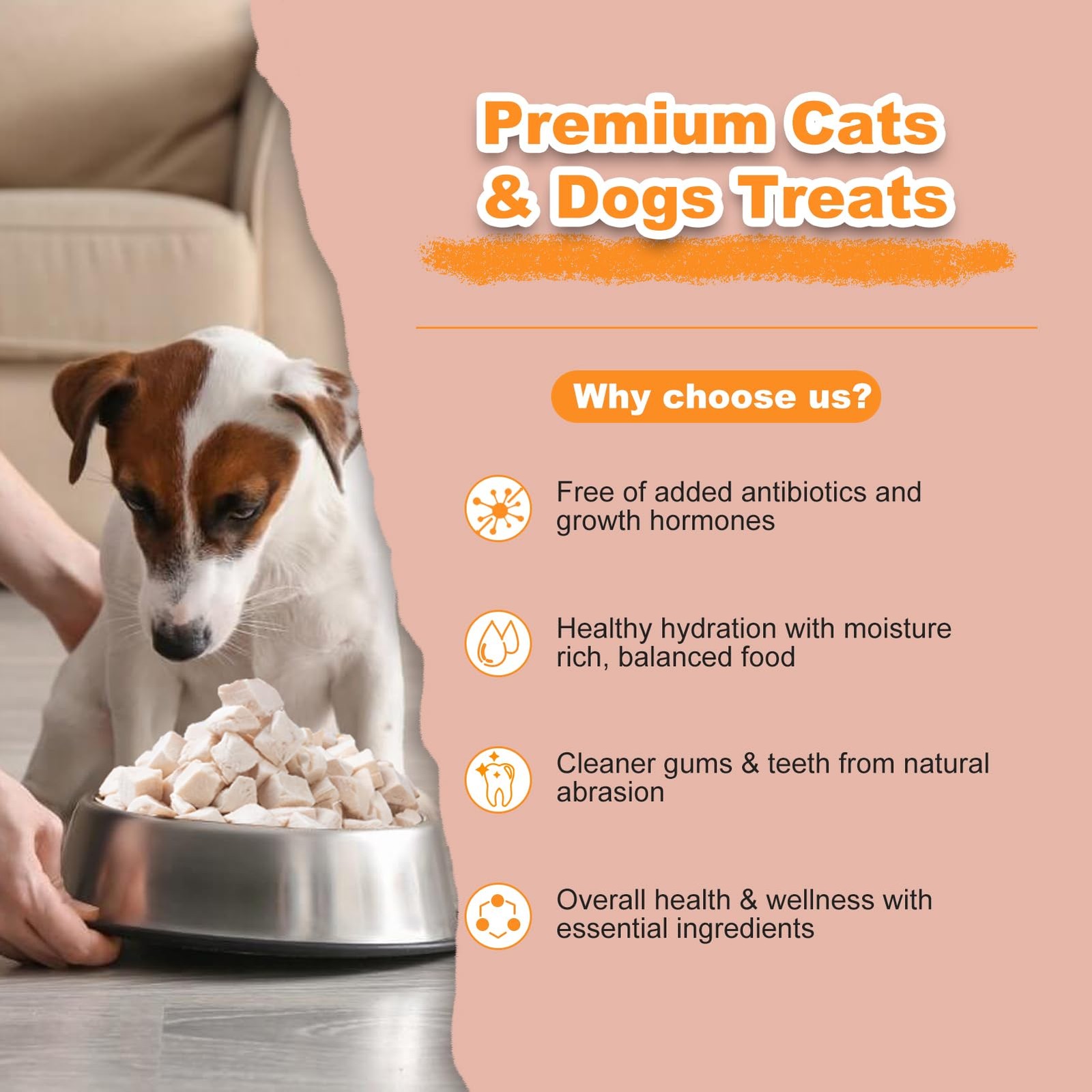 Freeze Dried Chicken Breast for Cats & Dogs – High 4 Ounce (Pack of 1)