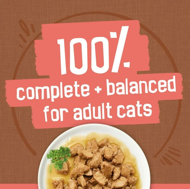 (48 pack) Purina Friskies Extra Chunky Gravy Variety Pack, Wet Cat Food, 5.5 oz