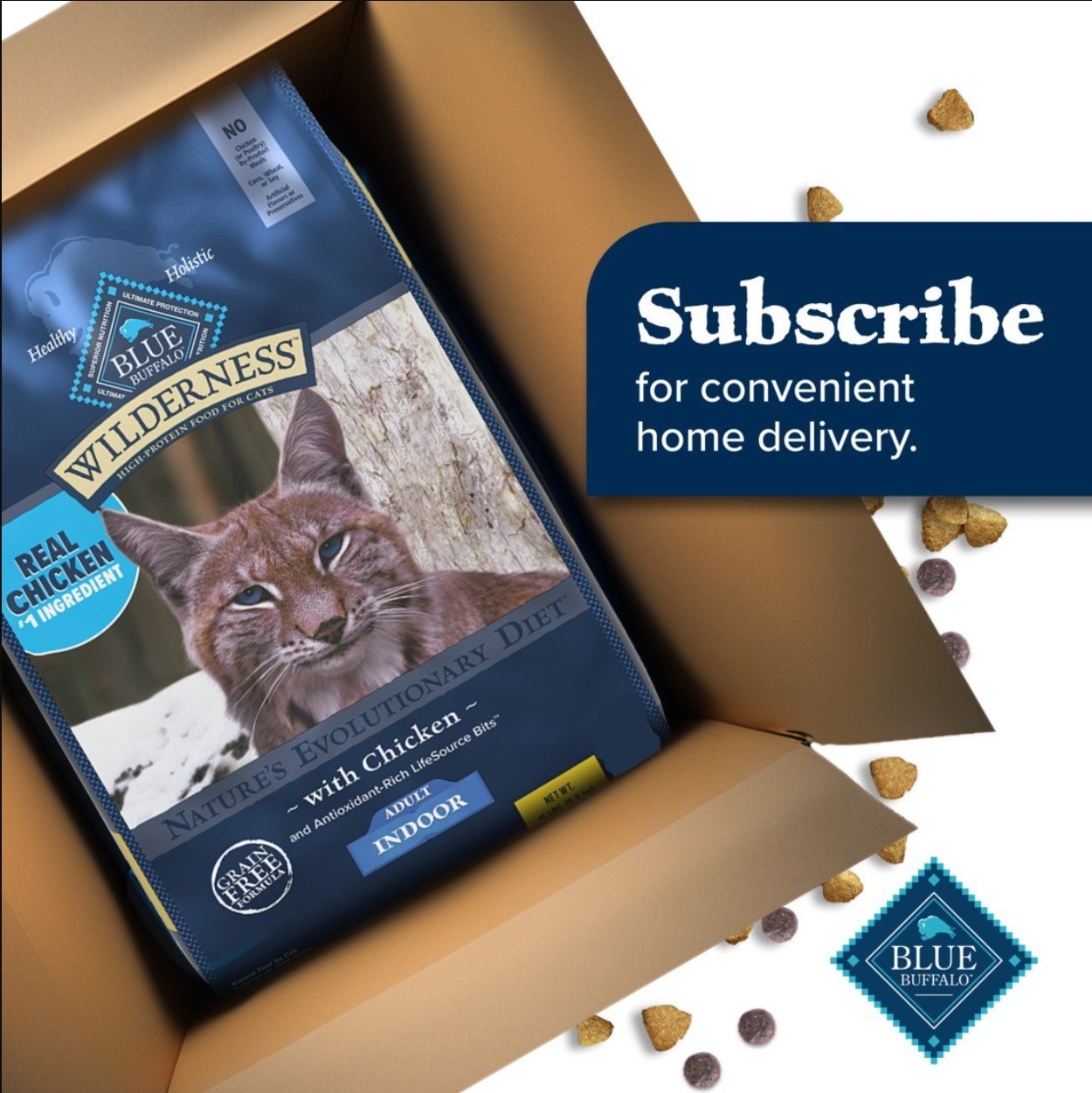 Blue Buffalo Wilderness High Protein, Natural Adult Indoor Dry Cat Food, Chicken
