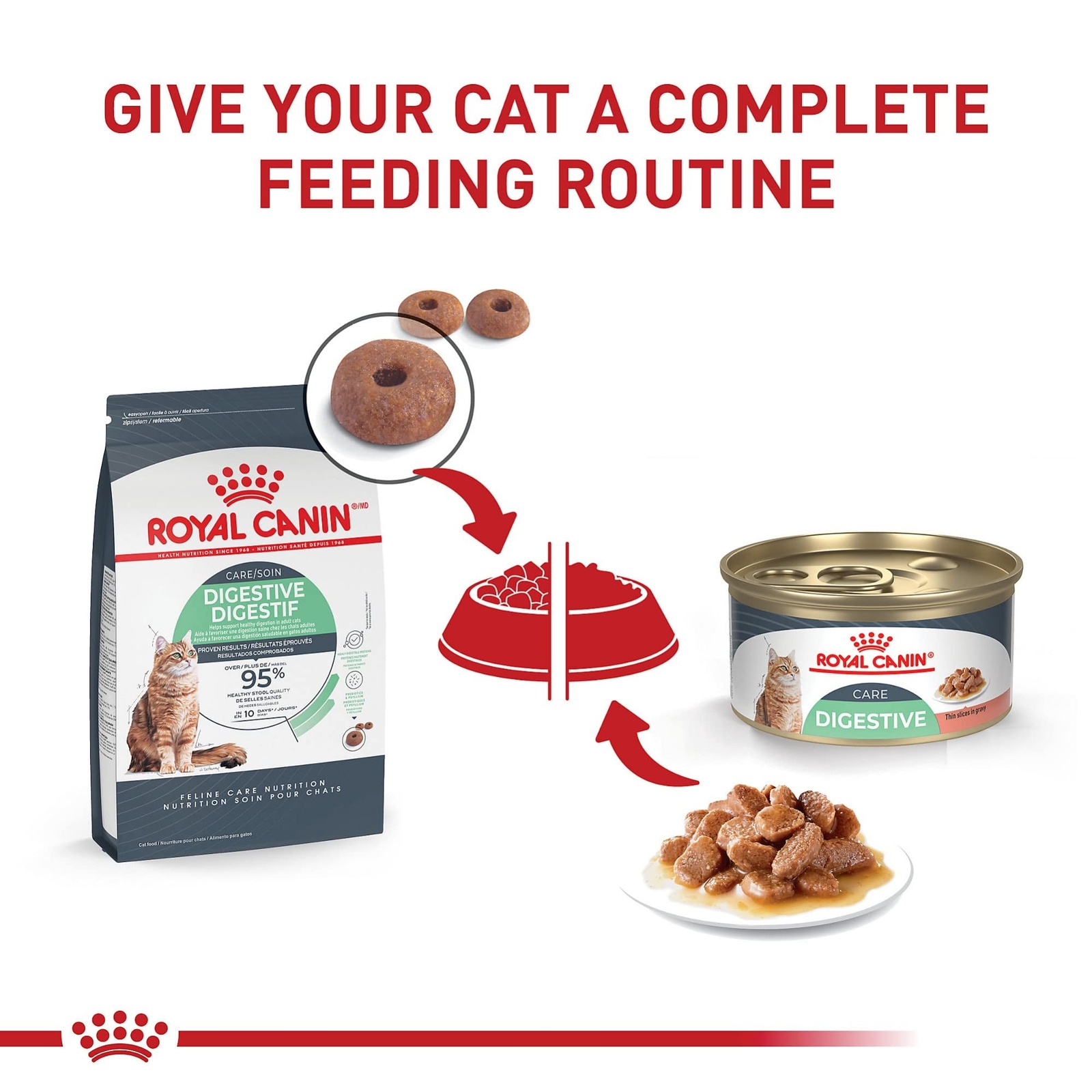 Royal Canin Digestive Care Dry Cat Food, 6 lb bag 6 Pound (Pack of 1)