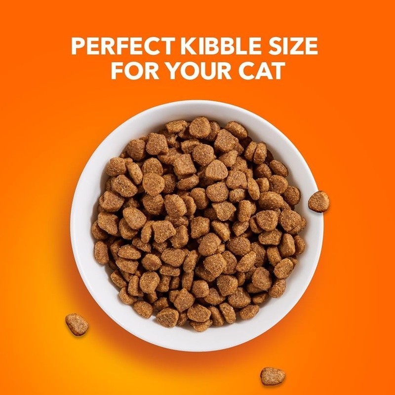 Proactive Health Dry Cat Food Chicken Flavor Digestive Heart Skin Coat Care New