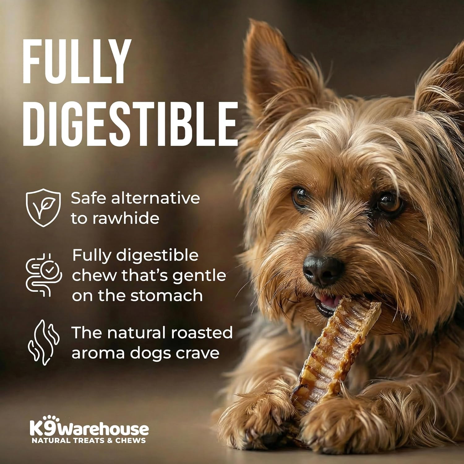 Trachea Dog Chews – Premium Beef Trachea for Dogs with Glucosamine & Chondroitin