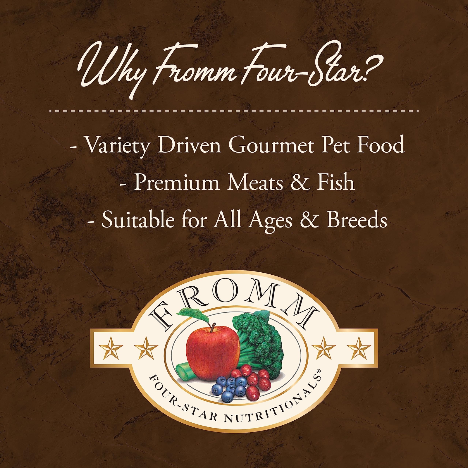 High-Quality Salmon Dry Cat Food 4 lb All Breeds and Ages Fromm Family Foods