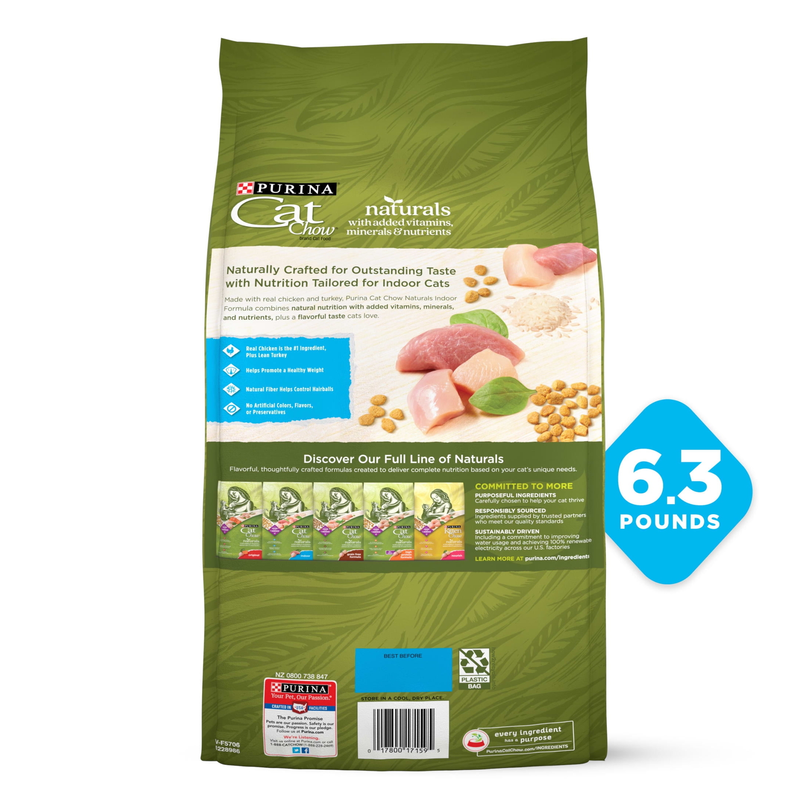 Indoor Dry Cat Food, Chicken & Turkey, 6 lb Bag