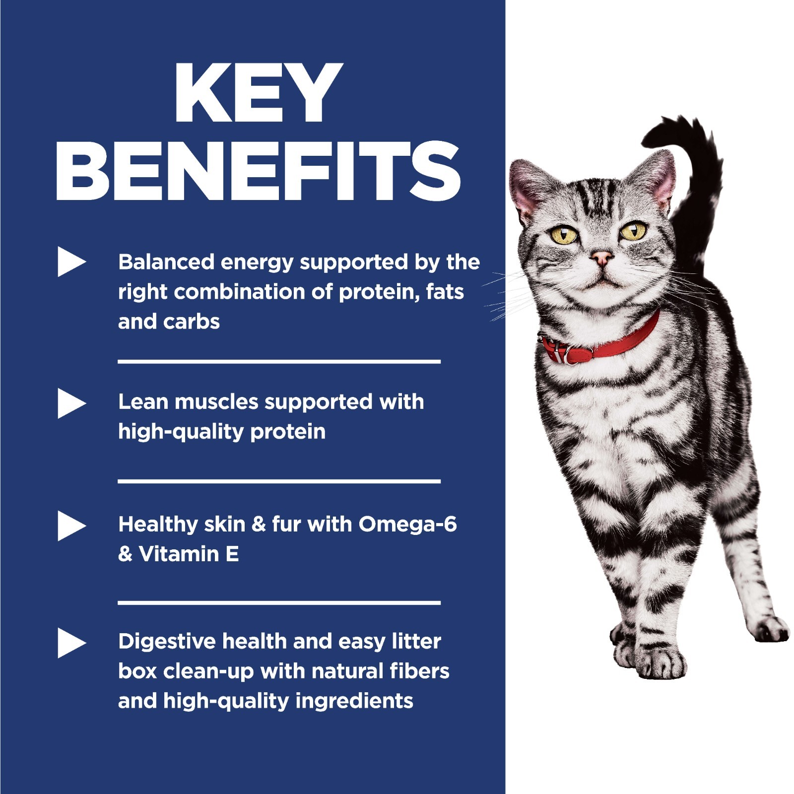 Hill’s Science Diet Adult Dry Cat Food for Indoor Cats Supports Healthy Digestio