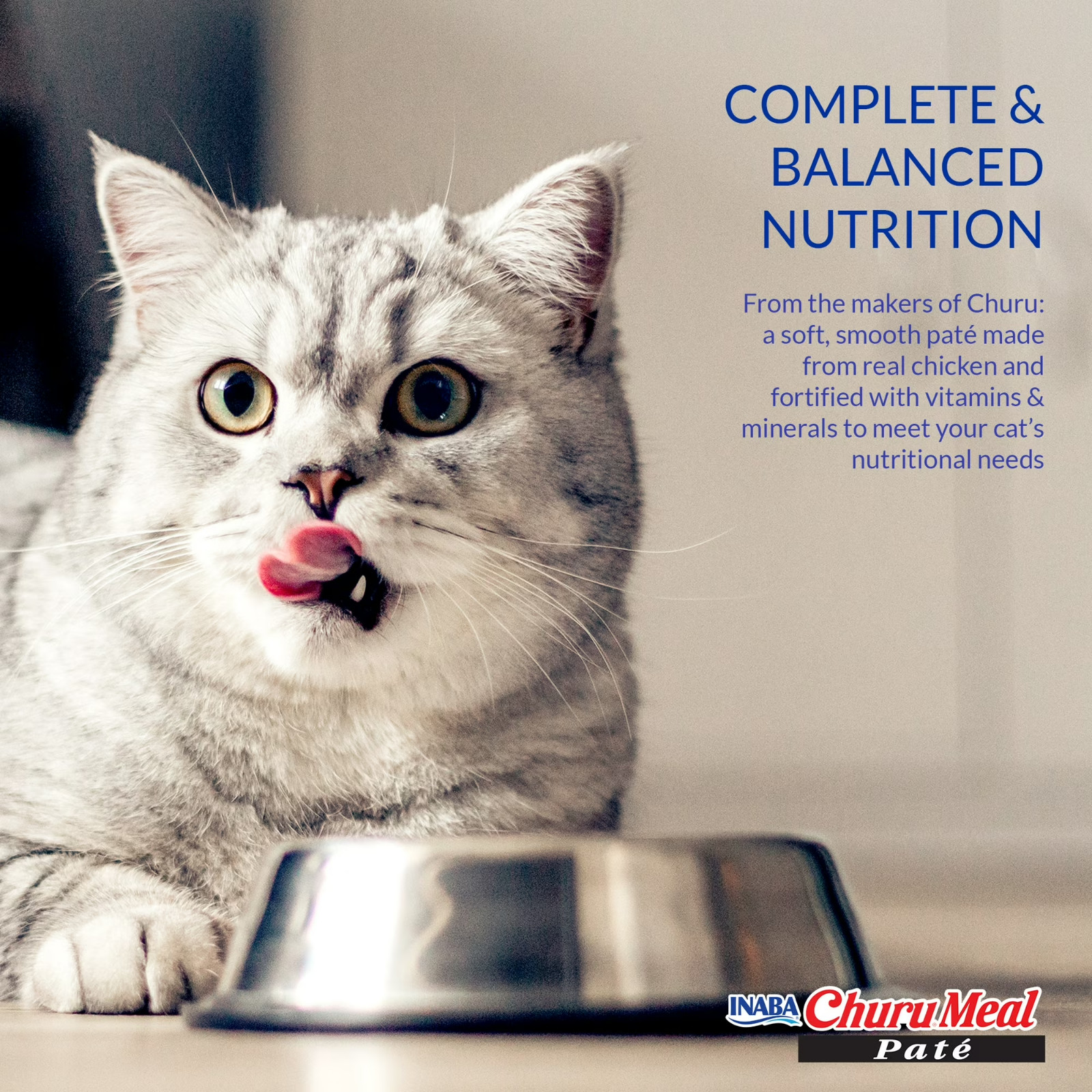 (2 pack) INABA Churu Meal Paté Adult Wet Cat Food, 2.29 oz cup, 12-count…