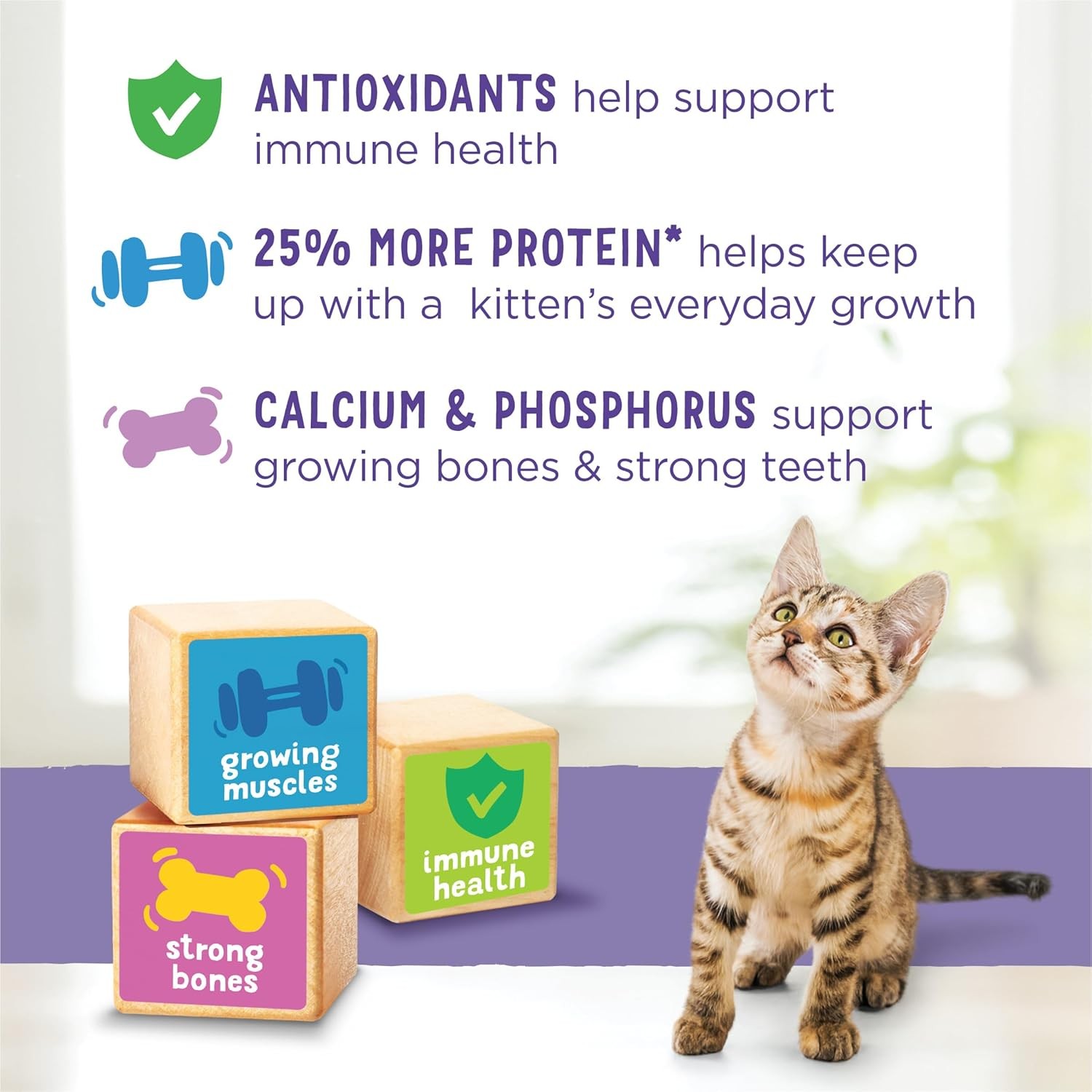 Purina Kitten Chow 14lb