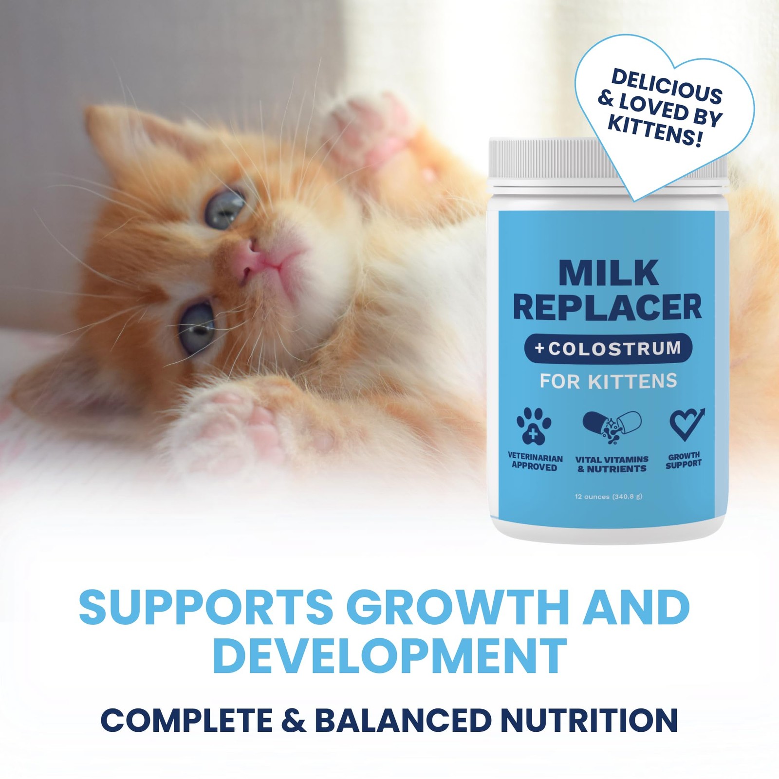 Under the Weather Kitten Milk Replacer Powder + 12 Ounce (Pack of 1)