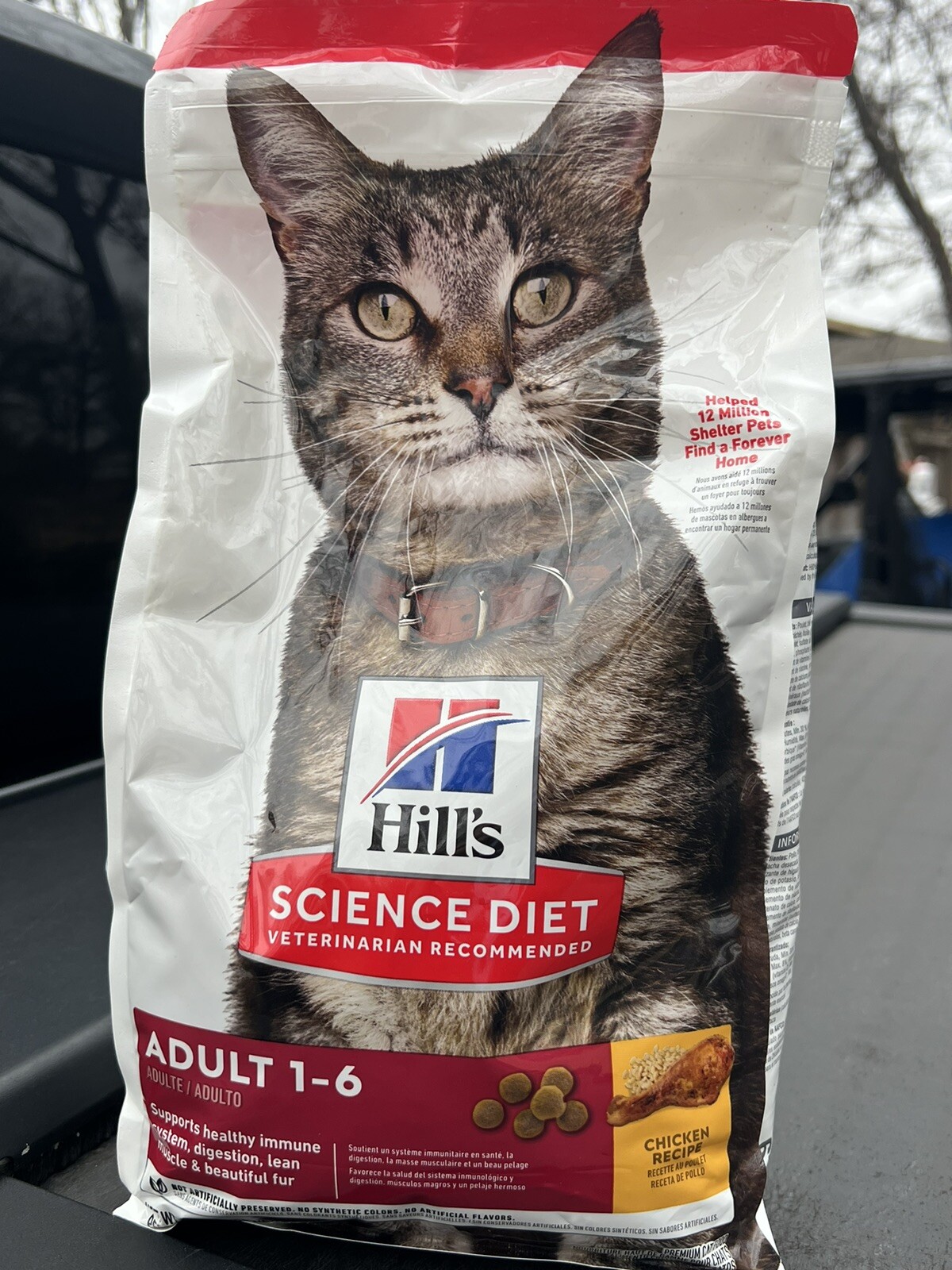 Science Diet Dry Cat Food, Adult, Chicken Recipe, 4 lb. Bag Exp 4/2026