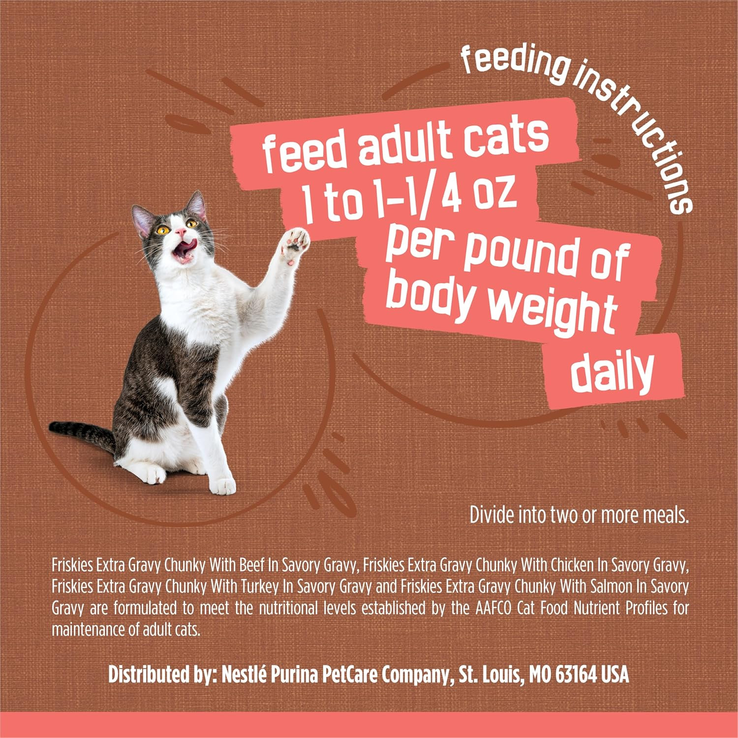 Purina Extra Gravy Wet Cat Food Chunky 24Ct Variety Pack (With Chicken, Turkey,